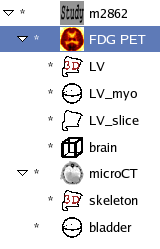 An example of a study's tree structure within AMIDE. The two data sets (FDG PET and microCT) and 1 ROI (bladder) are children of the study object (m2862). The remaining ROI's are children of the data sets.